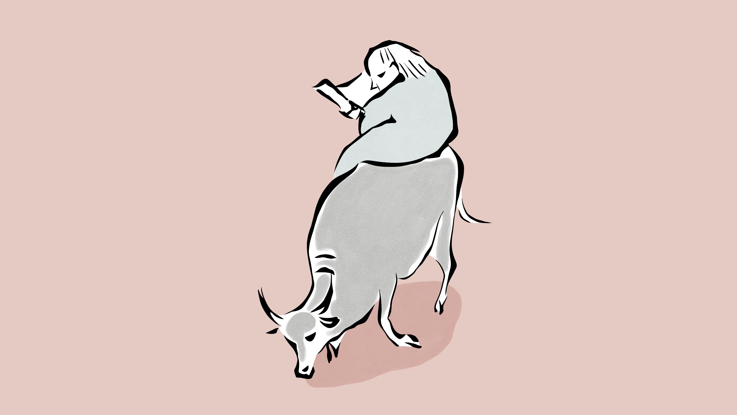 牛に乗ってどこへ行く？老子（ろうし）