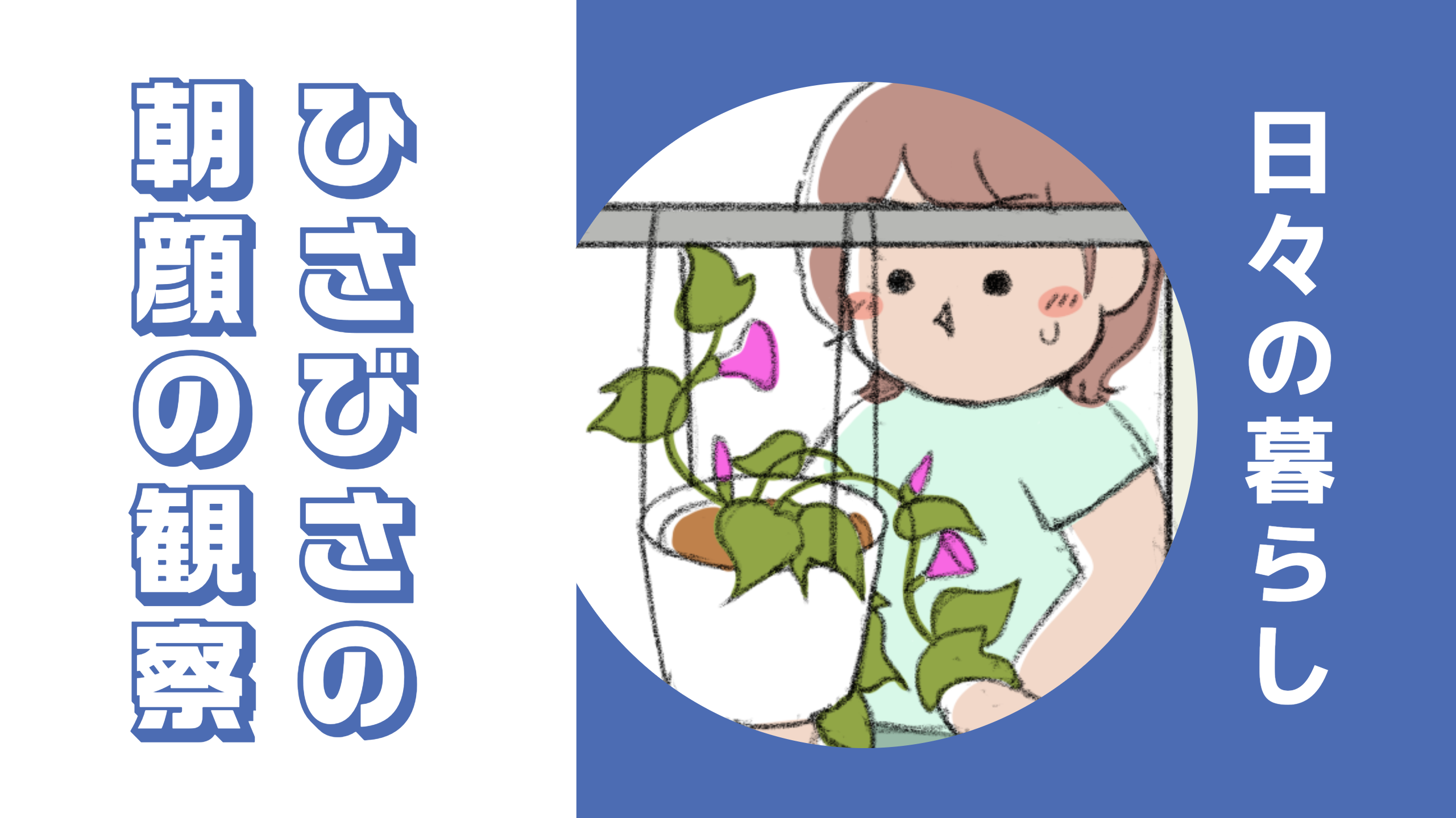 ひさびさの朝顔の観察